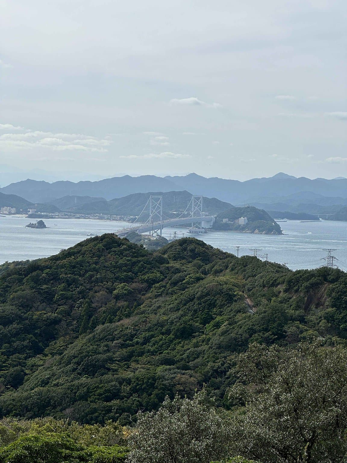 高台からの眺め