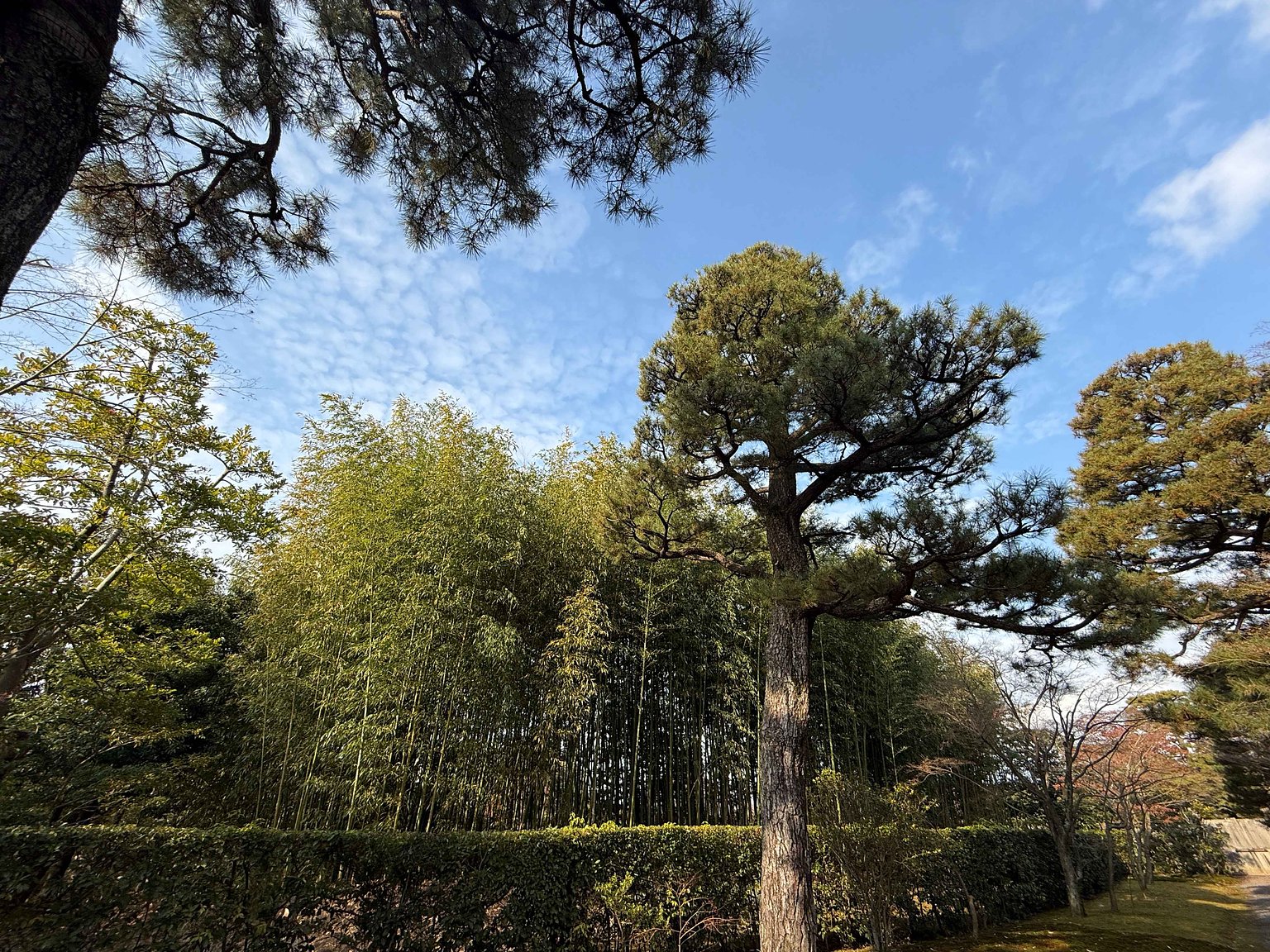 桂離宮の写真